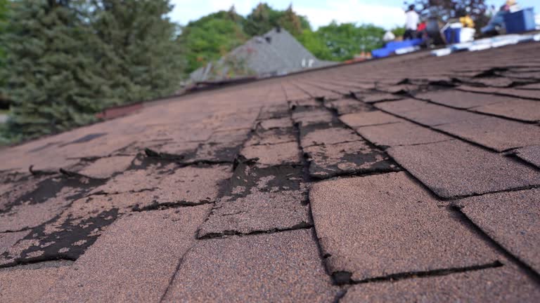 Professional Roof Repair & Installaion in Newton Falls, OH